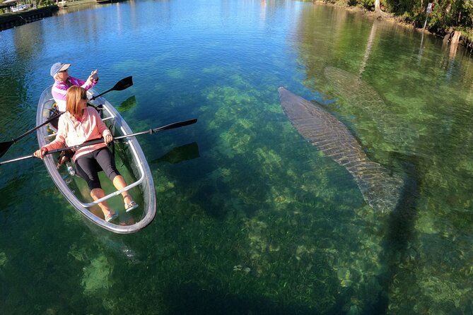 Clear Kayak Manatee Ecotour of Crystal River - Price and value, how to budget the full cost