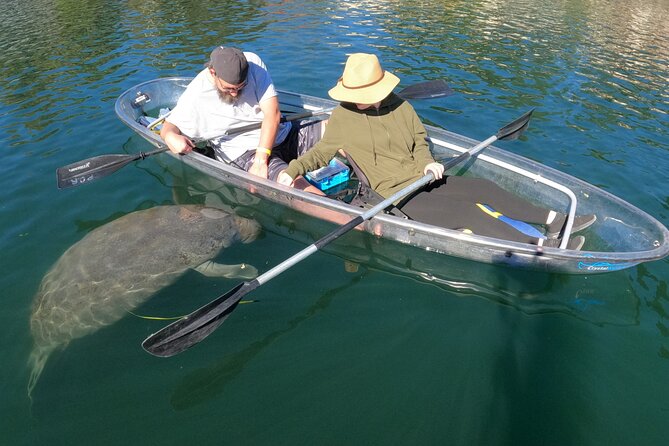 Clear Kayak Manatee Ecotour of Crystal River - Booking realities: who gets paired, and what to bring