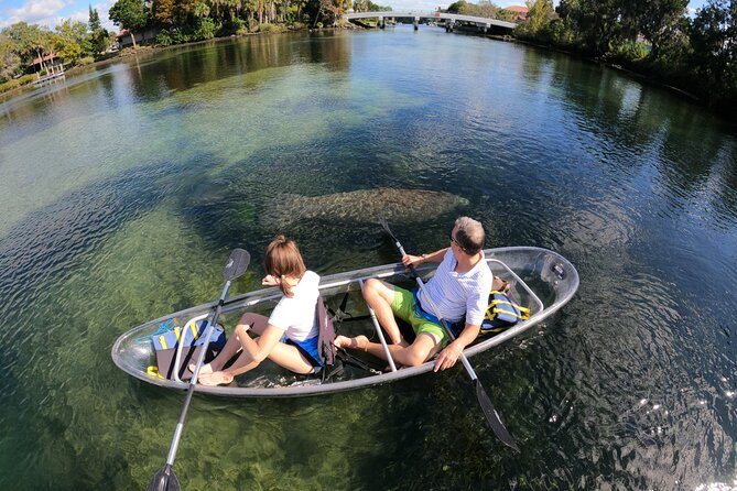 Clear Kayak Manatee Ecotour of Crystal River - Guides and small-group energy, why it matters more than you think