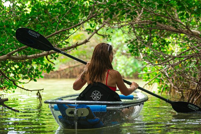 Clear Kayak Tour of Shell Key Preserve and Tampa Bay Area - Meeting at Billy’s Stone Crab, Then Gear Up Without Stress