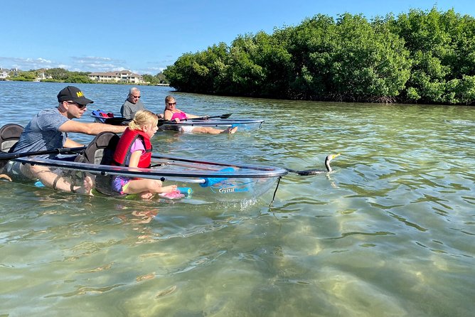 Clear Kayak Tour of Shell Key Preserve and Tampa Bay Area - The Shell Key Stop: Sandbars, Shells, and a Built-In Break