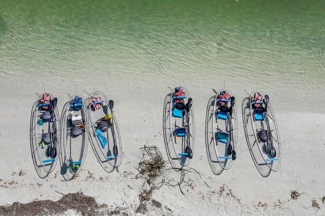 Clear Kayak Tour of Shell Key Preserve and Tampa Bay Area - Wildlife Viewing Tips That Actually Help