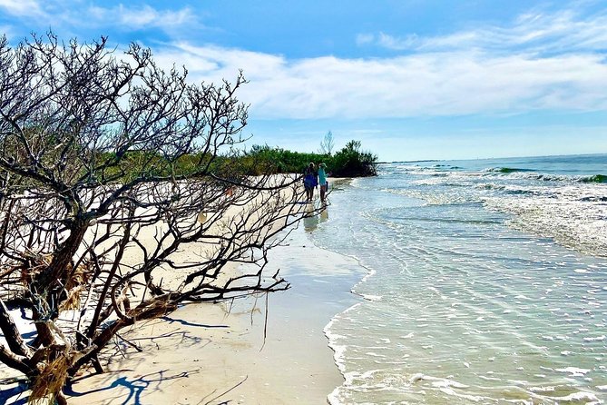 Clear Kayak Tour of Shell Key Preserve and Tampa Bay Area - Fitness Level and Wind: What to Expect on the Water