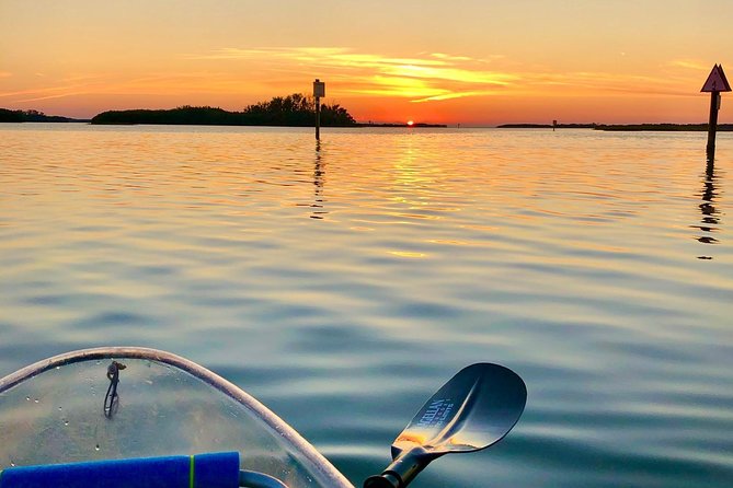 Clear Kayak Tour of Shell Key Preserve and Tampa Bay Area - Price and Value: Is $79 for Two Hours a Good Deal?