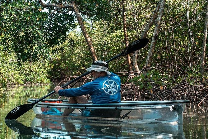 Clear Kayak Tours in Fort Pierce - Key points before you paddle