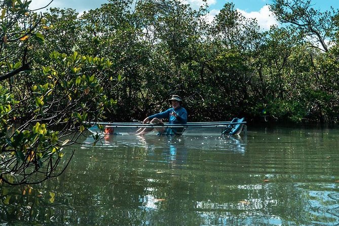 Clear Kayak Tours in Fort Pierce - Stop Moments and Photo-Video Opportunities in the Tunnels
