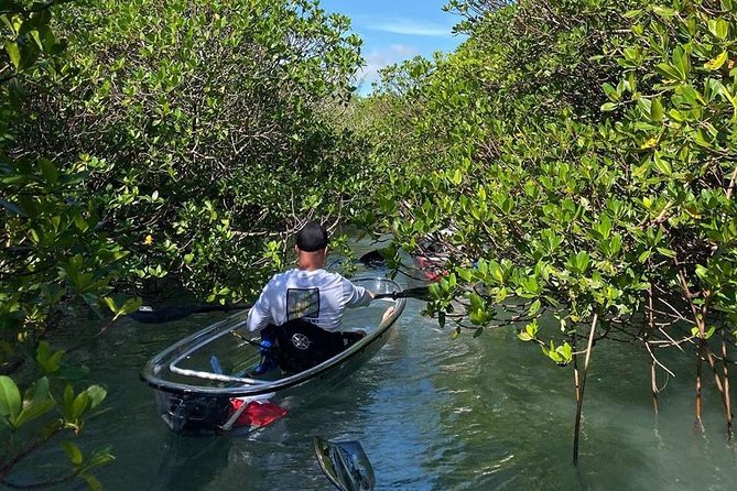 Clear Kayak Tours in Fort Pierce - Guide Style: Why Todd, Allen, Alan, Ryan, and Mark Get Named