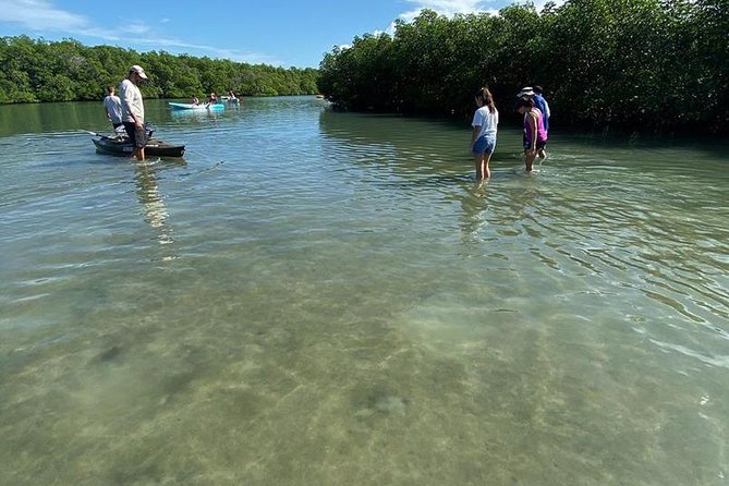 Clear Kayak Tours in Fort Pierce - How the 2-Hour Paddle Flows: Check-In, Safety, and the Mangrove Tunnel Route