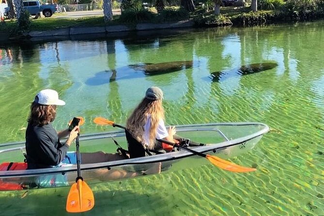 Clear Kayak Tours in Weeki Wachee - Entering the Clear Kayak Experience at Weeki Wachee
