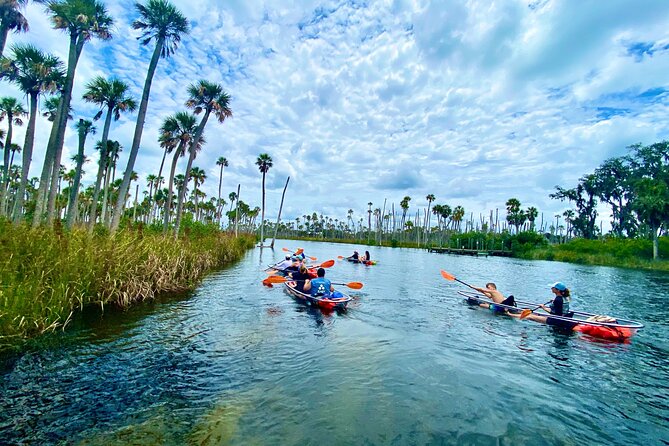 Clear Kayak Tours in Weeki Wachee - Where You Start: Marys Fish Camp and the Spring Estuary Route