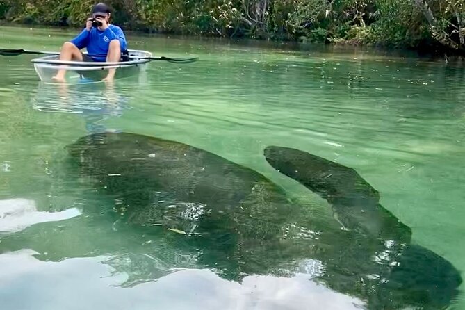 Clear Kayak Tours in Weeki Wachee - Clear Kayak Real Talk: Comfort, Fitness, and Strict Weight Rules