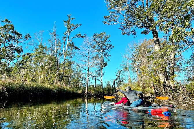 Clear Kayak Tours in Weeki Wachee - Price and Value: What $79 Actually Buys You