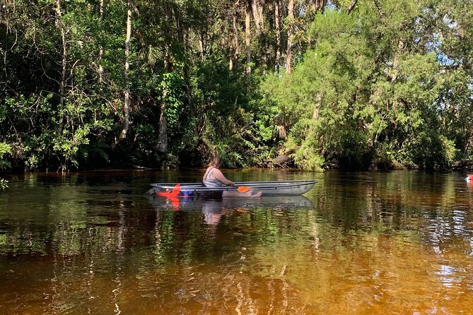 Clear Kayak Tours in Weeki Wachee - Who This Tour Fits Best (And Who Might Want a Different Day)