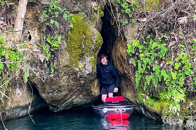 Clear Kayaking Eco Adventure Tour in Marianna - Wildlife spotting that is actually guided, fish, turtles, birds, and more