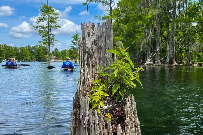Clear Kayaking Eco Adventure Tour in Marianna - Florida Caverns State Park and Blue Springs Recreational Park, what the routing suggests