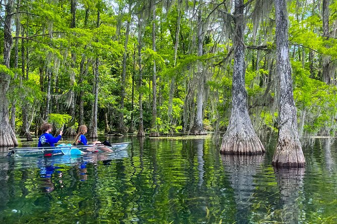Clear Kayaking Eco Adventure Tour in Marianna - Gear, dry bags, and the small-group vibe that keeps it comfortable