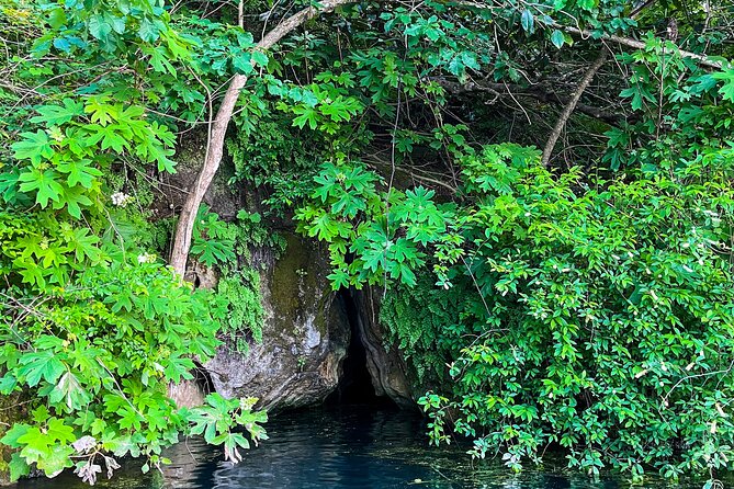 Clear Kayaking Eco Adventure Tour in Marianna - Stop 1 in Marianna, limestone bluffs, cypress trees, and underwater caves