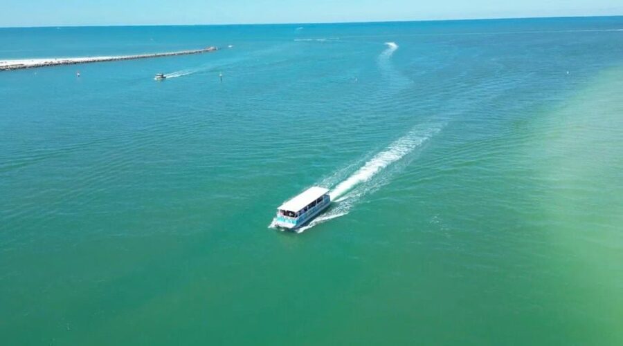 Clearwater Beach: Dolphin & Island Sandbar Cruise - Key things you will notice on this Clearwater cruise