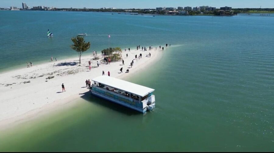 Clearwater Beach: Dolphin & Island Sandbar Cruise - One-Tree Island swim time: short, fun, and plan for shells