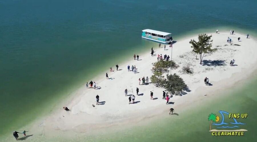 Clearwater Beach: Dolphin & Island Sandbar Cruise - Timing, weather, and safety on the Gulf