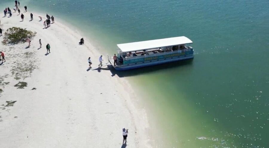 Clearwater Beach: Dolphin & Island Sandbar Cruise - Who should book this Clearwater Beach cruise