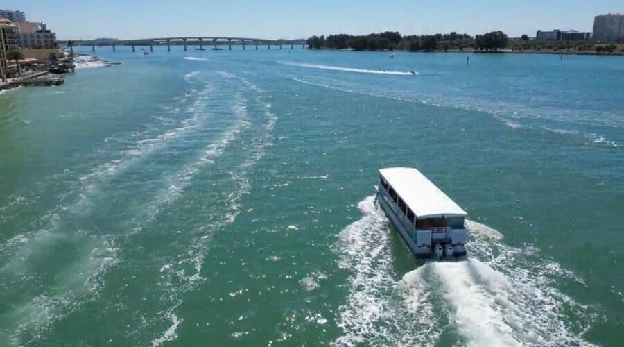 Clearwater Beach: Dolphin & Island Sandbar Cruise - Should you book this dolphin and island sandbar cruise?