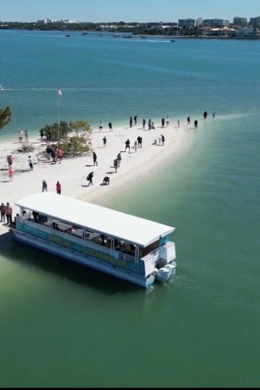 Clearwater Beach: Dolphin & Island Sandbar Cruise - The dolphin guarantee, and why it changes your stress level