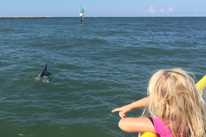 Clearwater Encounters with Dolphins Tour - What You Really Get for the $35.67 Price