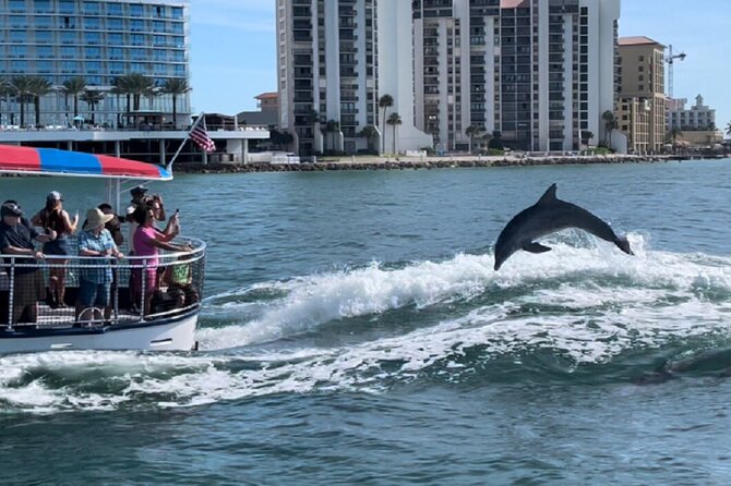 Clearwater Encounters with Dolphins Tour - Logistics That Can Make or Break Your Day (Parking, Sun, and Timing)