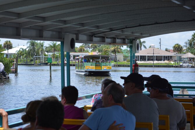 Cocoa Beach Dolphin and Wildlife Tour - Your 2-hour cruise: what happens once you meet at 420 W Cocoa Beach Causeway