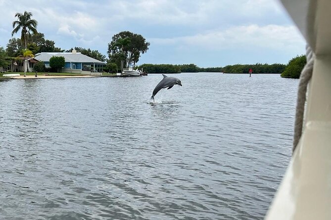 Cocoa Beach Dolphin and Wildlife Tour - Timing, weather, and what to wear so you stay comfortable