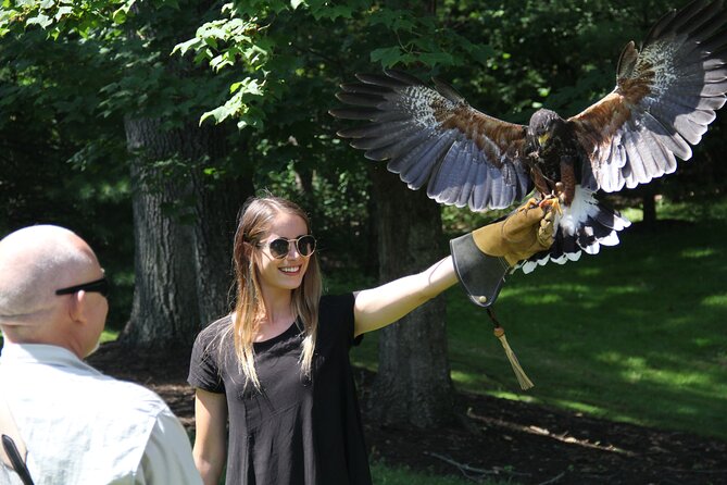Colorado Springs Hands-On Falconry Class and Demonstration - Colorado Springs Falconry 101: What You’re Really Signing Up For