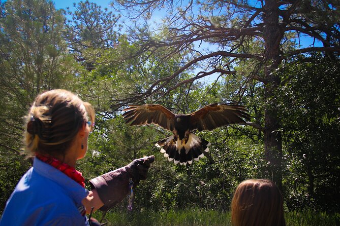 Colorado Springs Hands-On Falconry Class and Demonstration - Owl Room and Bird Cages Time: Why the Prep Matters