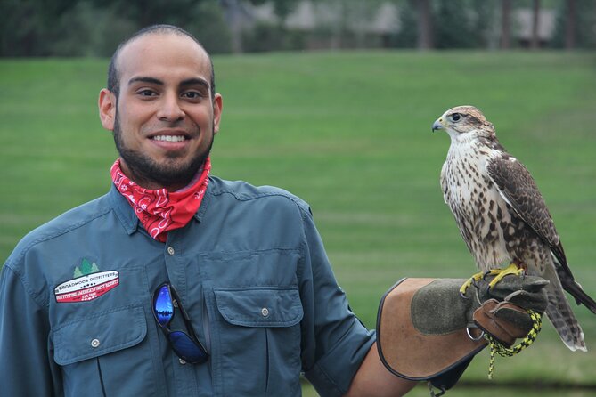 Colorado Springs Hands-On Falconry Class and Demonstration - Meet the Licensed Falconer and Learn the Bird Lineup