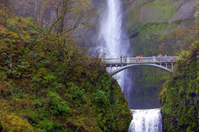 Columbia River Gorge Waterfalls Tour from Portland, OR - Latourell Falls: A Short Walk to 249 Feet of Water