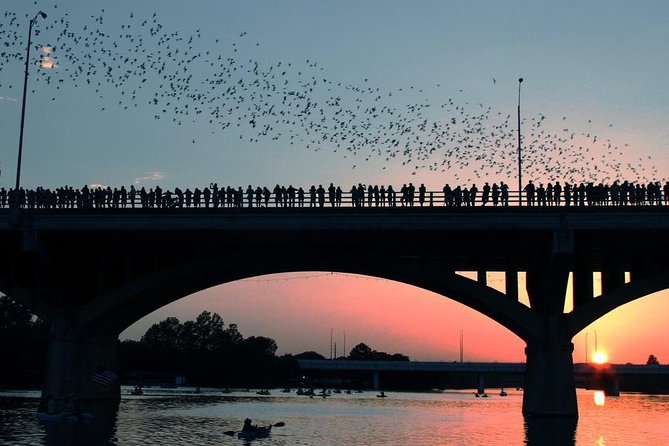 Congress Avenue Bat Bridge Kayak Tour in Austin - Key Things I’d Zoom In On