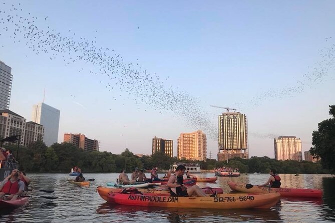 Congress Avenue Bat Bridge Kayak Tour in Austin - The Included Paddling Lesson, and What Beginner Mode Really Means