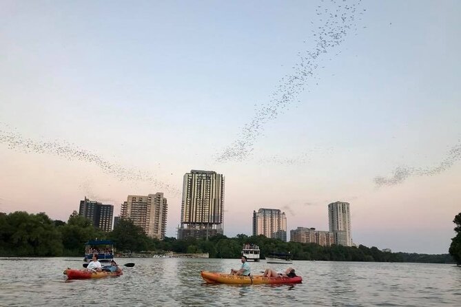Congress Avenue Bat Bridge Kayak Tour in Austin - Price and Value: Why $50 Feels Fair for This Setup