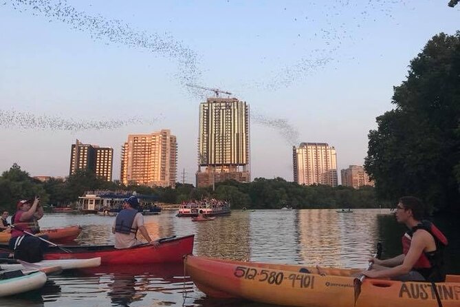 Congress Avenue Bat Bridge Kayak Tour in Austin - Stop One: Bat Watching From Under the Bridge