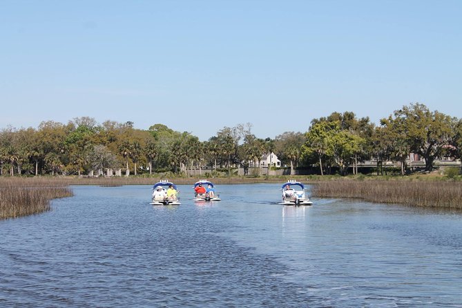 CraigCat Boat Tour from Fernandina Beach - Wildlife Odds: Dolphins, Gators, Eagles, Pelicans, and More
