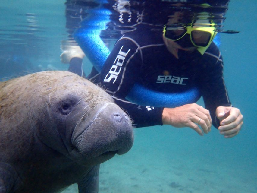 Crystal River: Manatee Snorkel Tour w/ In-Water Photographer - Snorkeling time inside the 2.42-hour wildlife window