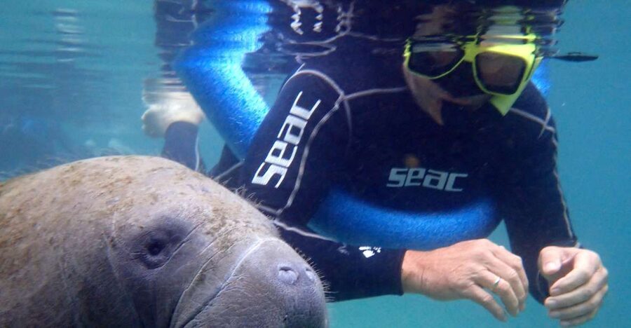 Crystal River: Manatee Snorkel Tour w/ In-Water Photographer - Who this tour is best for, and who should sit this one out