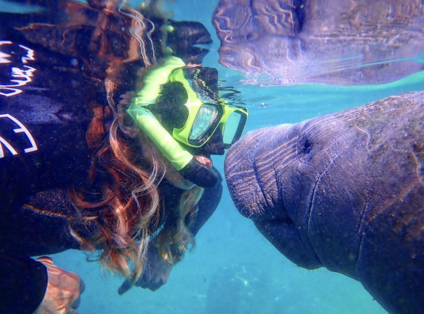 Crystal River: Manatee Swim Group Tour - Crystal River Manatee Swim: What $69 Really Covers
