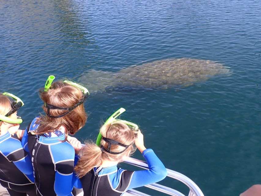 Crystal River: Manatee Swim Group Tour - Manatee Manners, Snorkel Coaching, and Your Time Floating in the Water