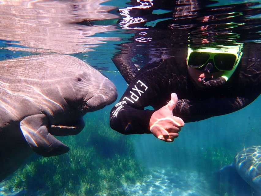 Crystal River: Manatee Swim Group Tour - Practical Tips for a Smoother, Warmer Manatee Swim