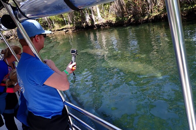 Crystal River Manatee Viewing Cruise - Kings Bay Wildlife Refuge: where winter manatees go to hang out