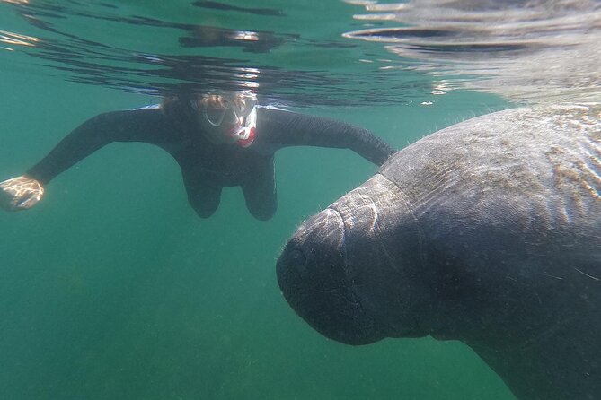 Crystal River: Semi-Private Manatee Swim Tour With Heated Boat - Key Highlights You’ll Feel Immediately