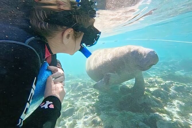 Crystal River: Semi-Private Manatee Swim Tour With Heated Boat - Finding Manatees, Without the Fuss