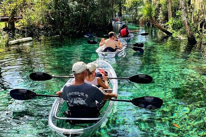 Crystal River Three Sisters Springs and Manatee Clear Kayak Tours - Why Clear Kayaks in Crystal River Feel Different