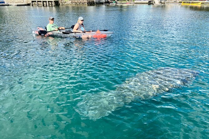 Crystal River Three Sisters Springs and Manatee Clear Kayak Tours - What to Bring and How to Get the Best Underwater Visibility